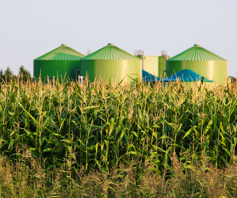 Agriculture Manufacturing Case Study