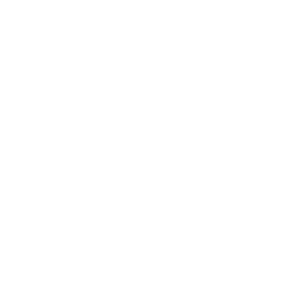 LG_Logo_inVESTED_The Vested Group_Primary_White.png