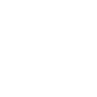The Vested Group