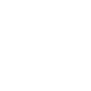 Netsuite Provider The Vested Group